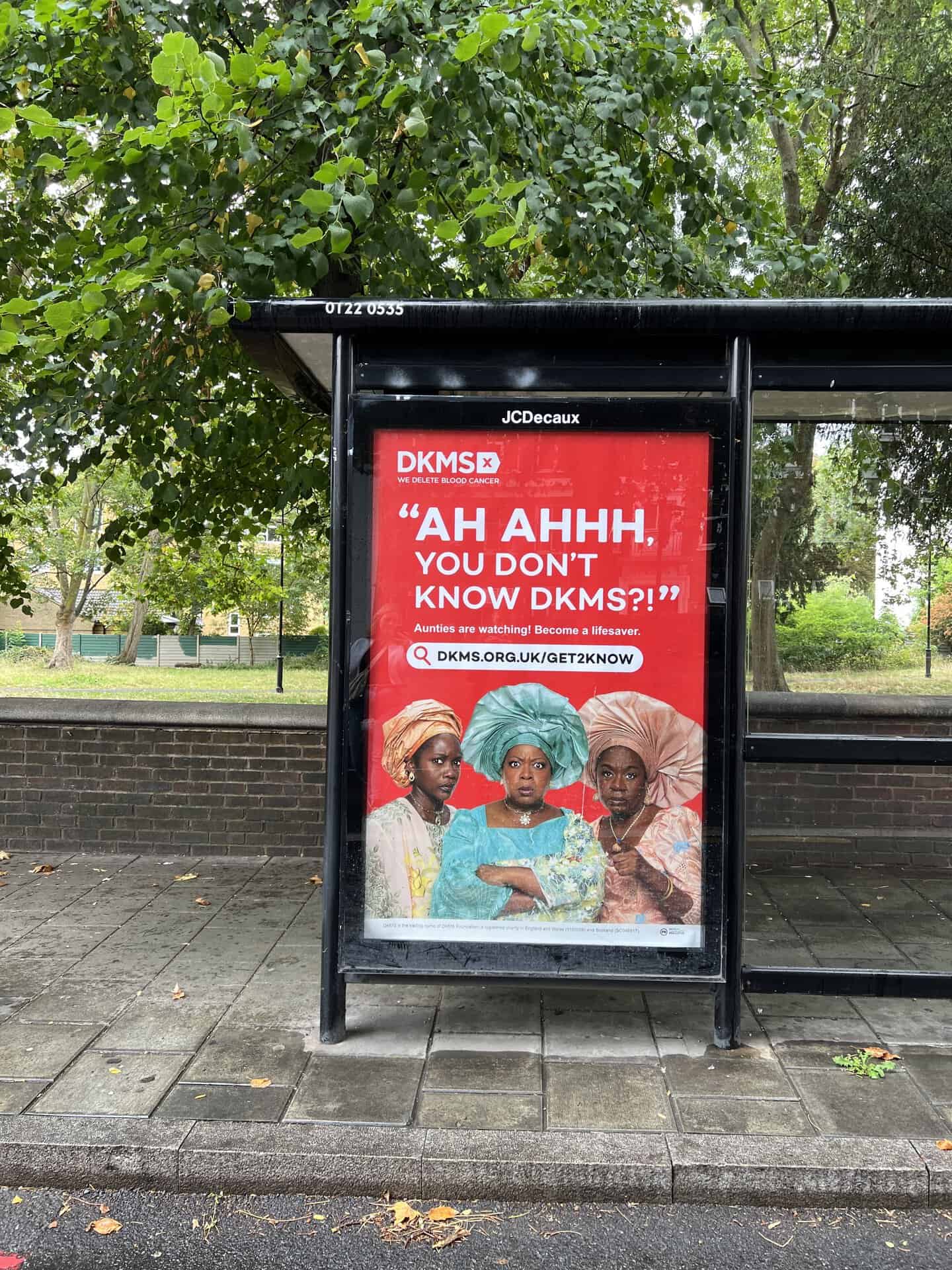 DKMS: Aunties - Blood Cancer Awareness Month gallery image